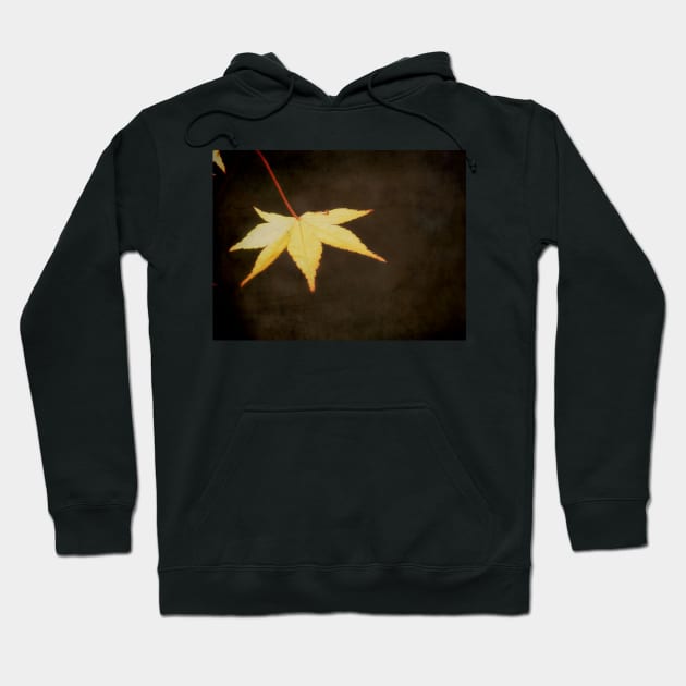 A Leaf at Sunset Hoodie by rosedew